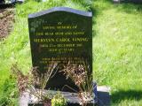 image of grave number 856303
